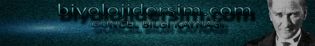 BİYOLOJİDERSİM